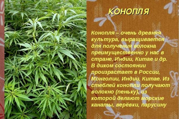 Кракен тор kraken dark