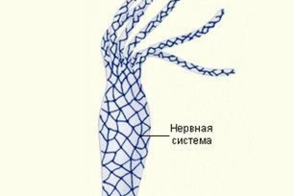 Кракен даркнет 2krnmarket