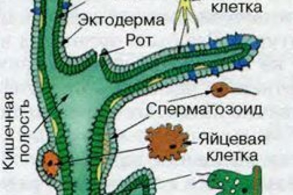 Кракен нет