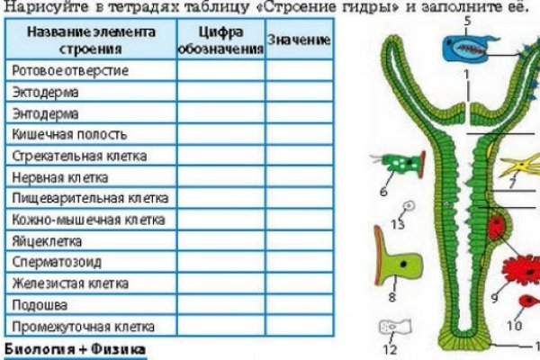 Кракен орг