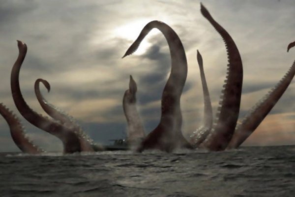 Kraken актуальные зеркала krakentor site