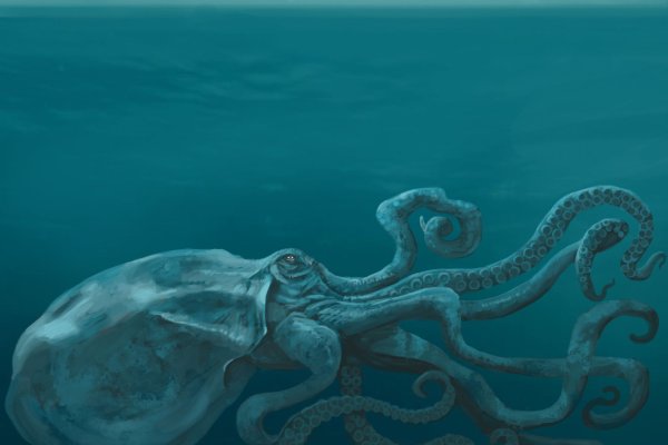 2kr kraken