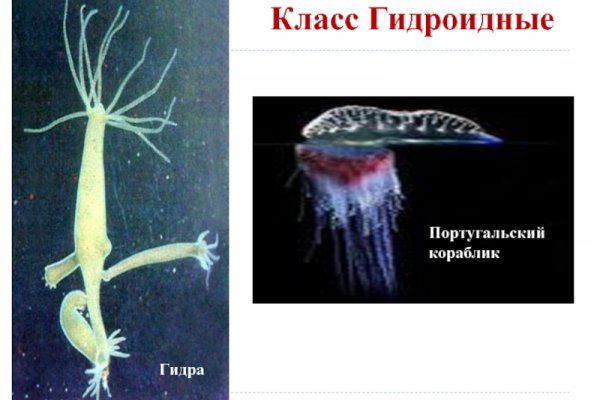 Kraken рабочая ссылка 2025
