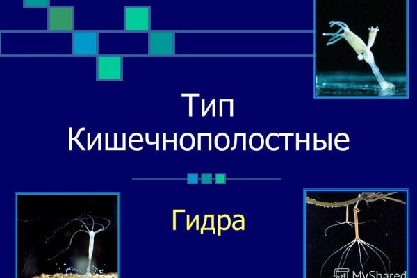 Кракен маркетплейс реклама текст