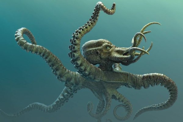 Kraken ссылка krakens13 at