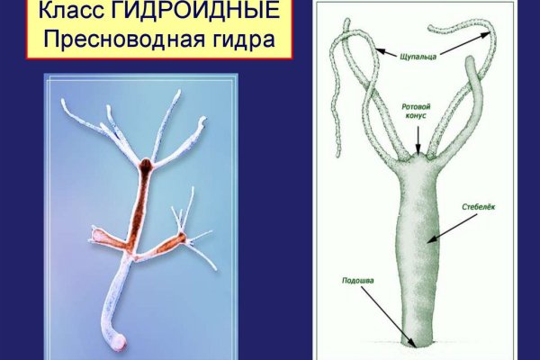 Кракен телеграмм магазин