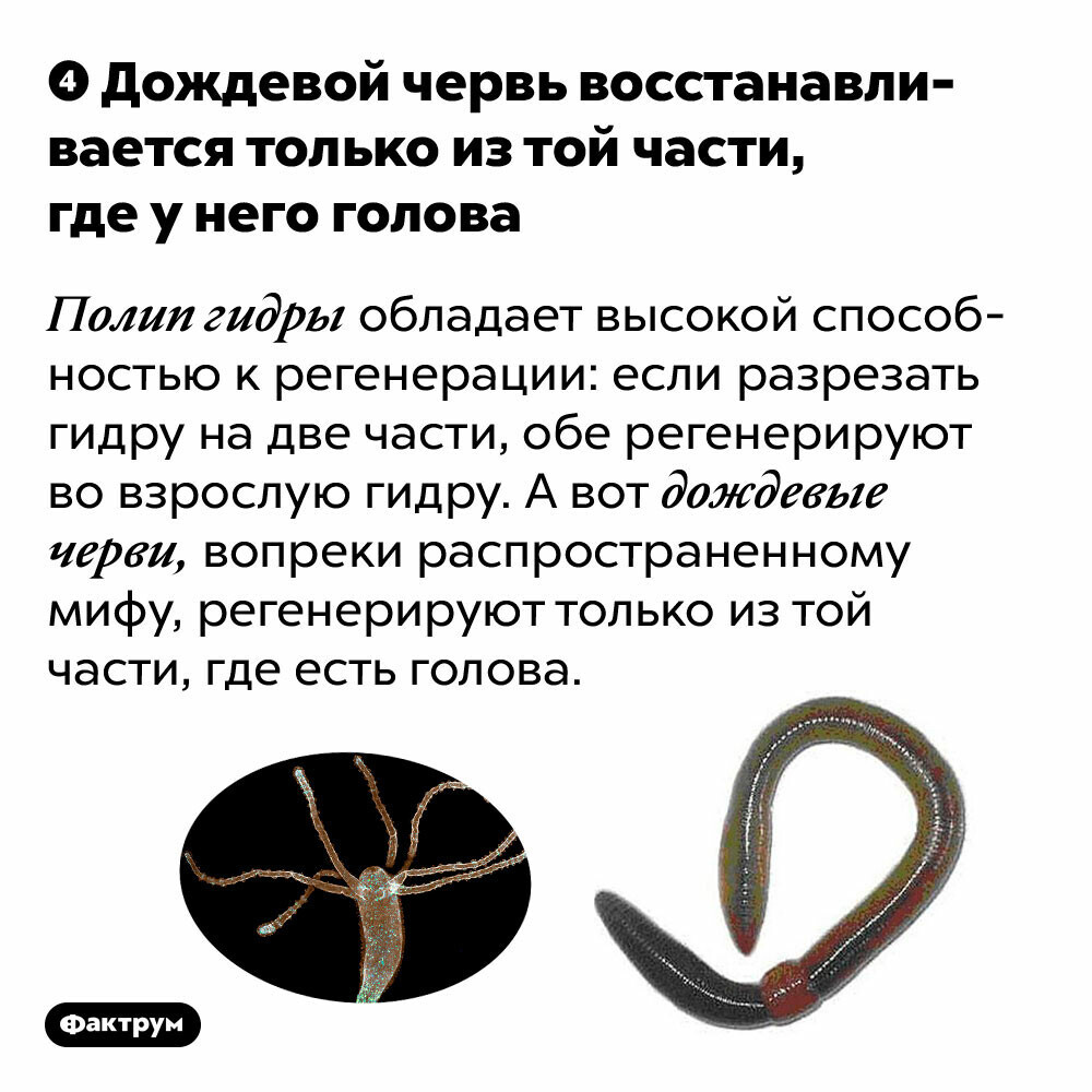 Актуальная ссылка на кракен